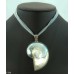Shell & Silk necklace (Seagreen)